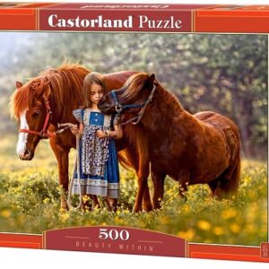 จิ๊กซอว์ 500 ชิ้น Castorland Beauty Within #52509