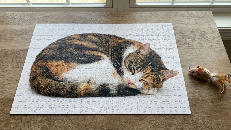 กซอว์รูปแมวสามสี ของขวัญสุดพิเศษสำหรับทาสแมว